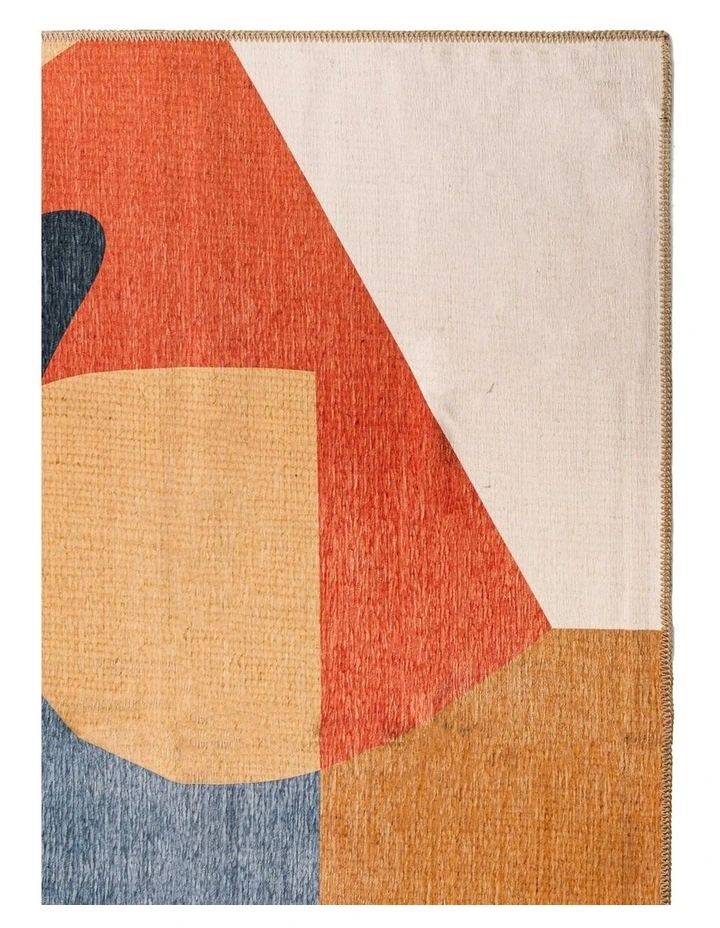 Picnic Washable Chenille Area Rug in Multi