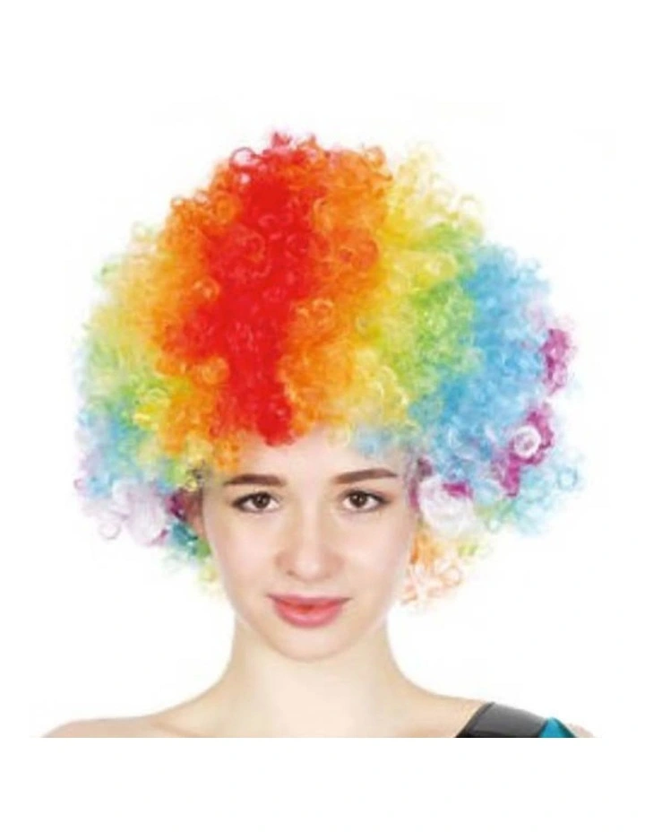 Deluxe Afro Wig in Rainbow