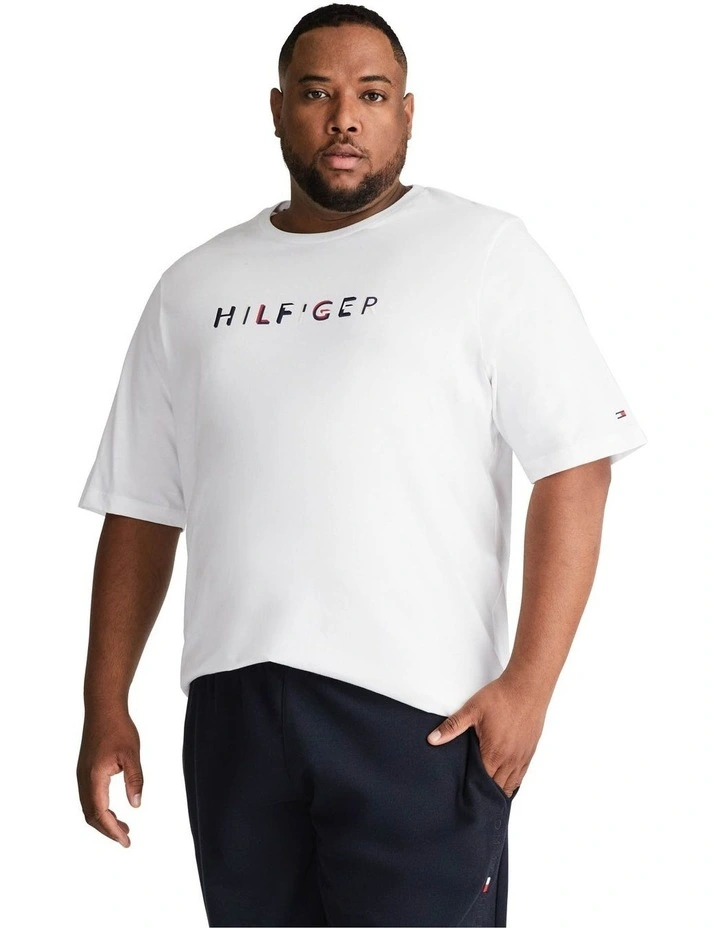 Big & Tall Monotype Tee in White