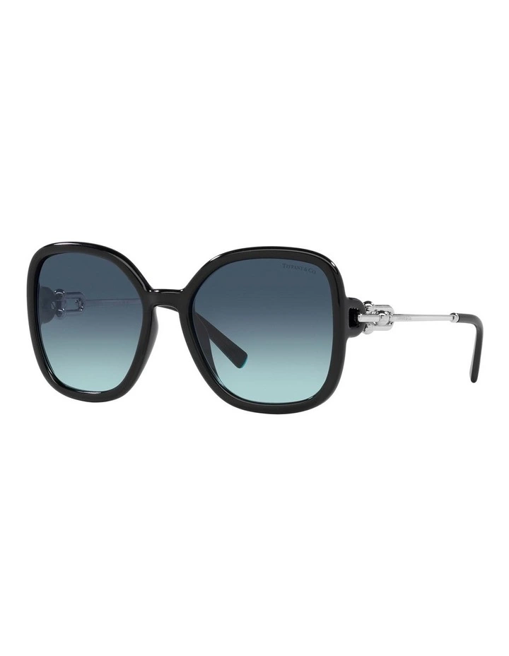TF4202U Sunglasses in Black