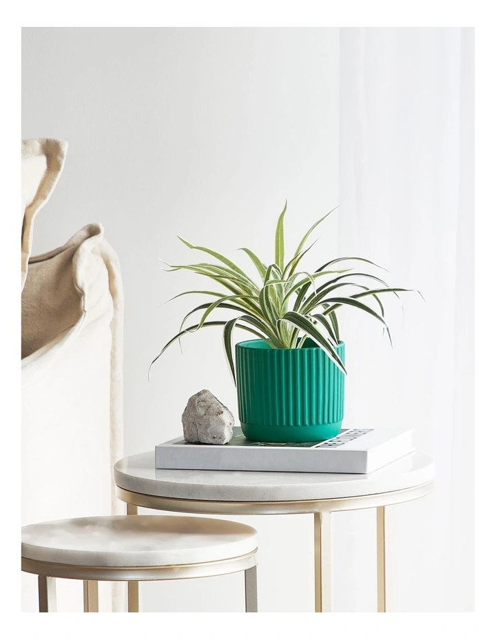 Dakota Ribbed Terracotta Planter Pot 14cm in Dark Green