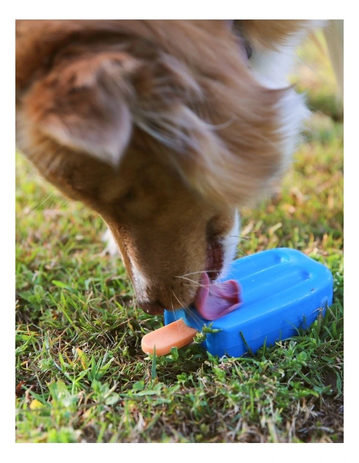 Freezy Ice Block Dog Toy 15x6.5x3.5cm in Blue