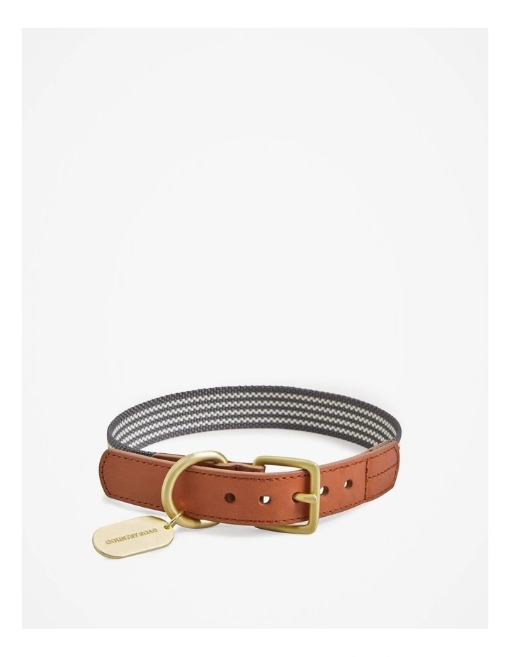 Alfie Recycled Polyester Large Pet Collar in Lake Grey
