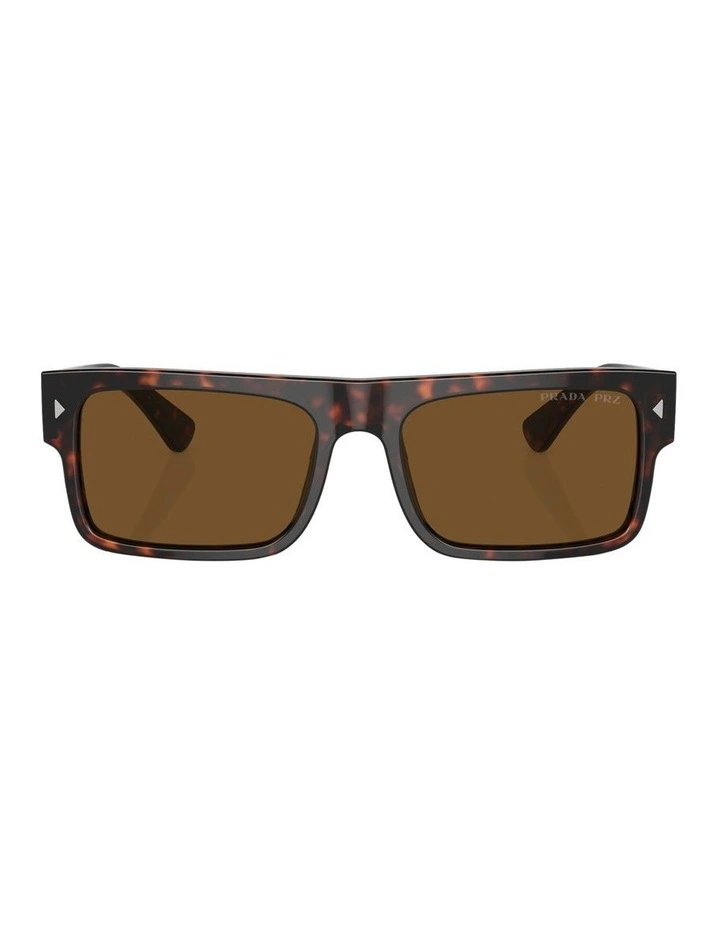Polarised PR A10S Sunglasses in Tortoise