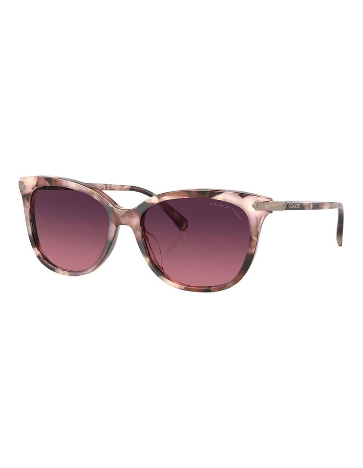 Polarised CL926 Sunglasses in Pink