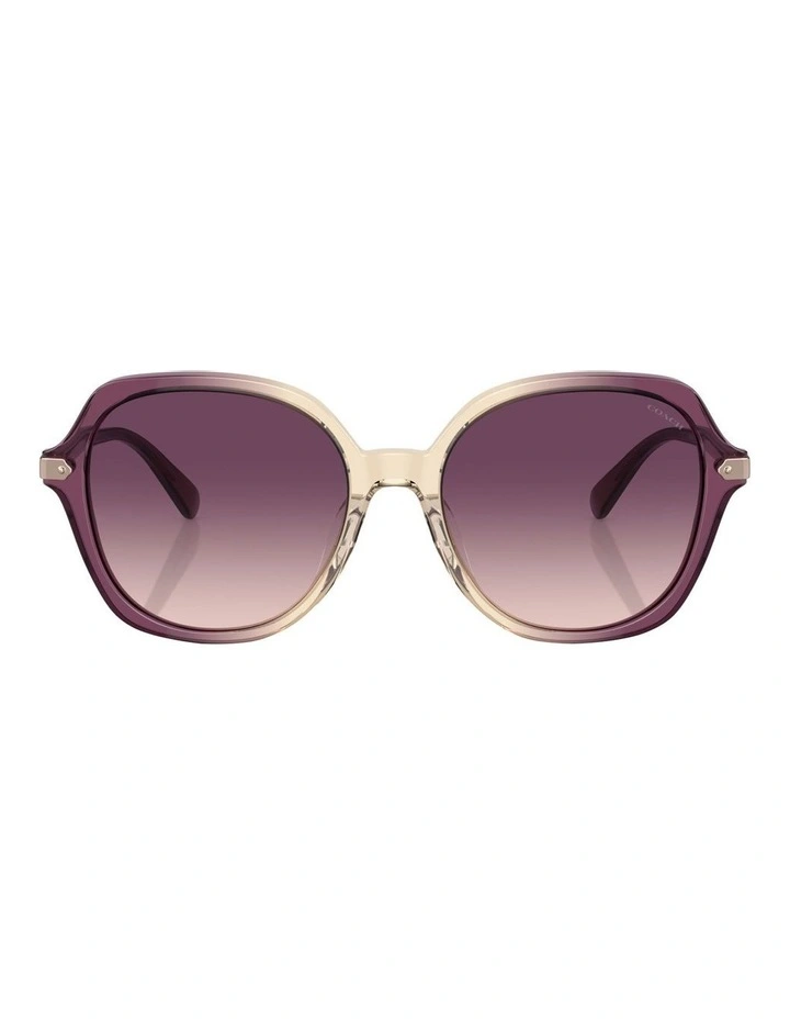 CL925 Sunglasses in Multicolor