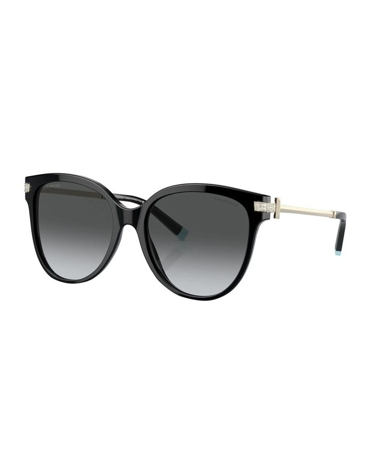 Polarised TF4193B Sunglasses in Black