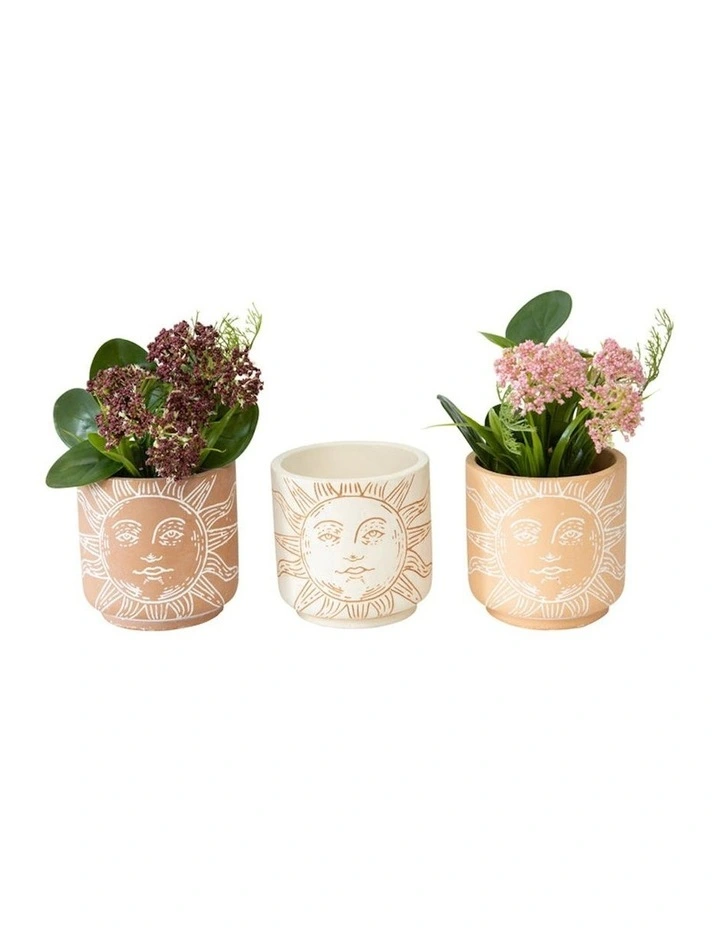 Sunshine Outdoor Planters Set of 3 in Multi