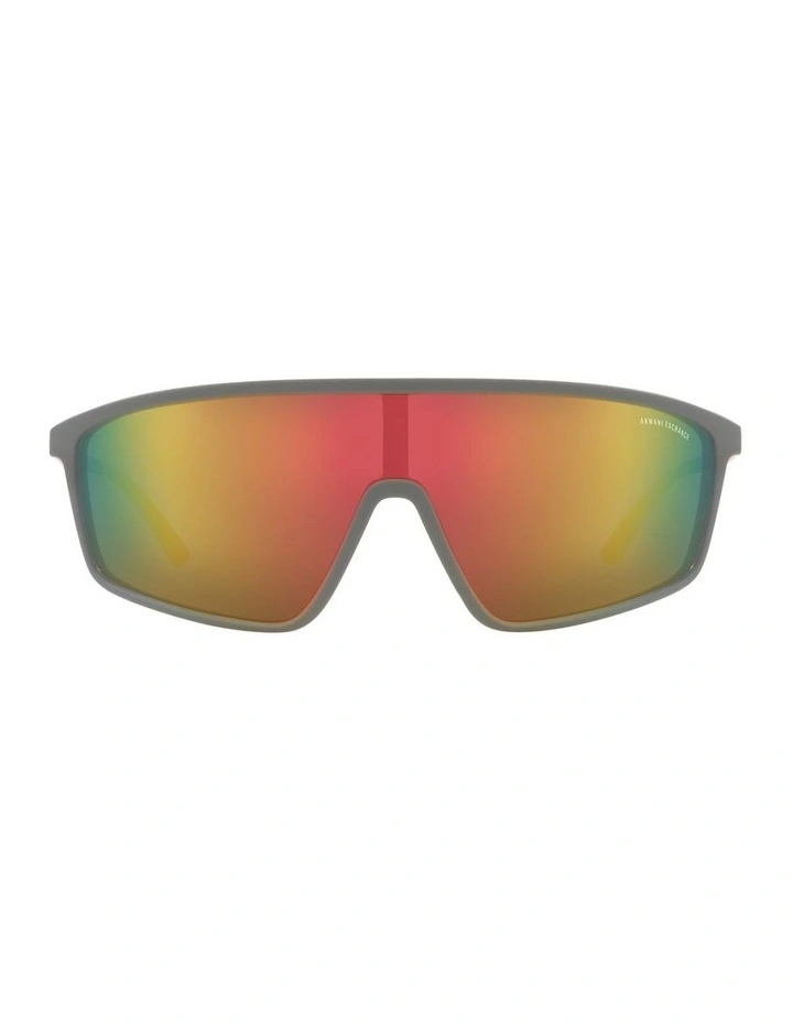 AX4119S Grey Sunglasses