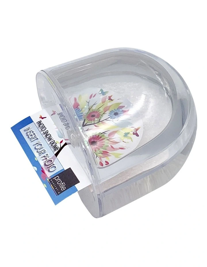 Snow Dome in Clear