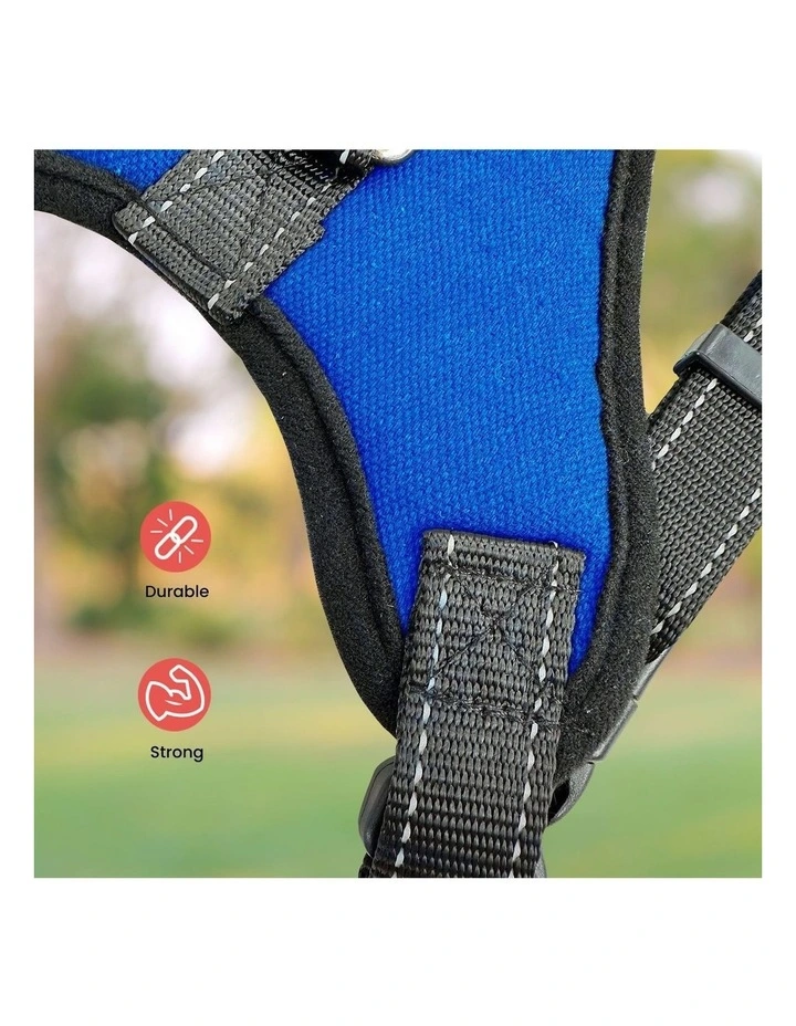 No Pull Dog Harness with Adjustable Chest Belt XL in Blue