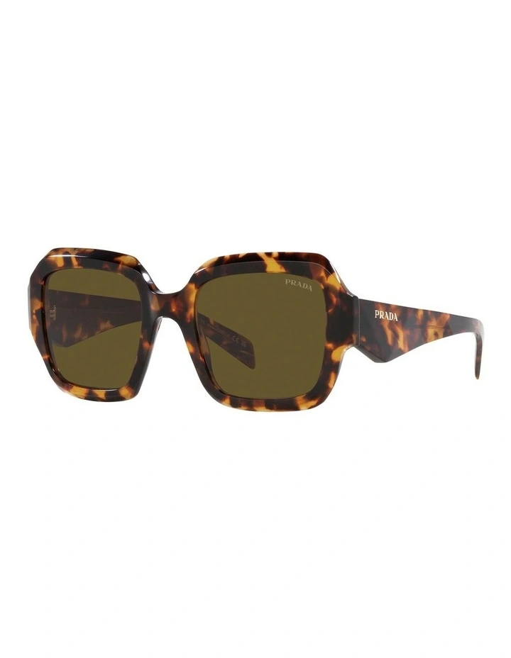PR 28ZS Sunglasses in Green