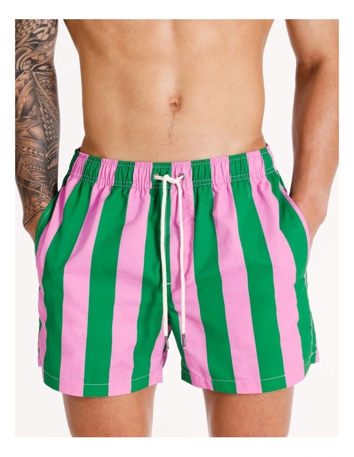 Magic Stripe Swim Short in Green