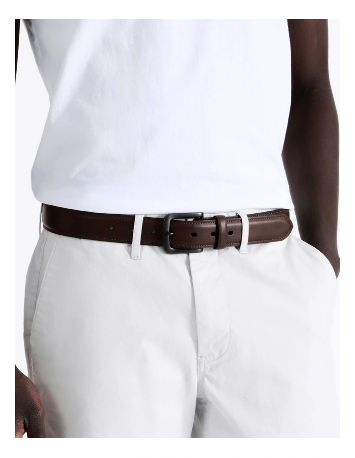 Pin Buckle Belt in Brown