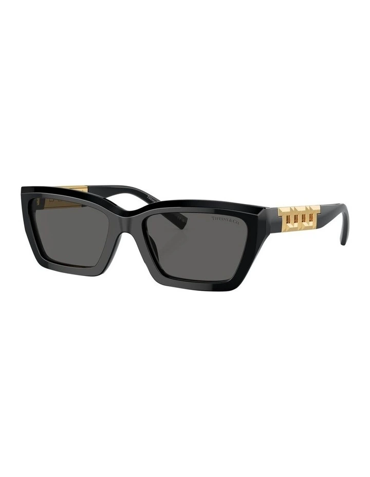 TF4213 Sunglasses in Black