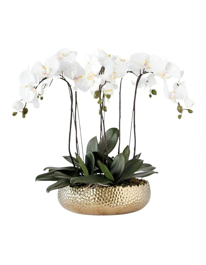 Real Touch PEVA 6 stems White Phalaenopsis Arrangement in Golden pot