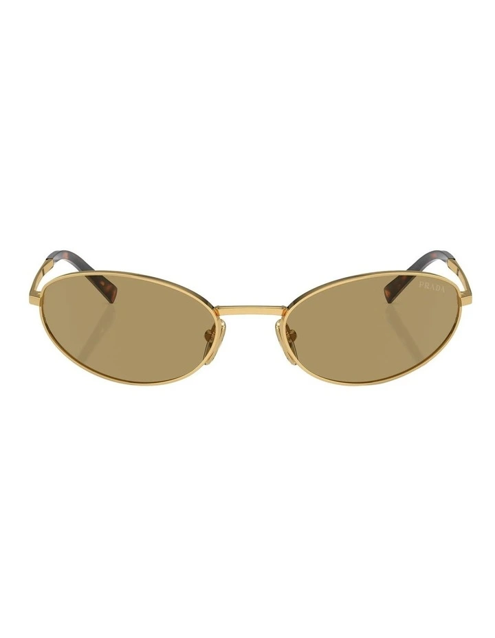 PR A59S Sunglasses in Gold