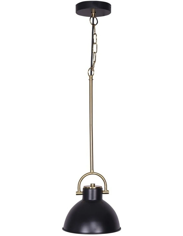 Pendant Light Lamp in Black and Gold