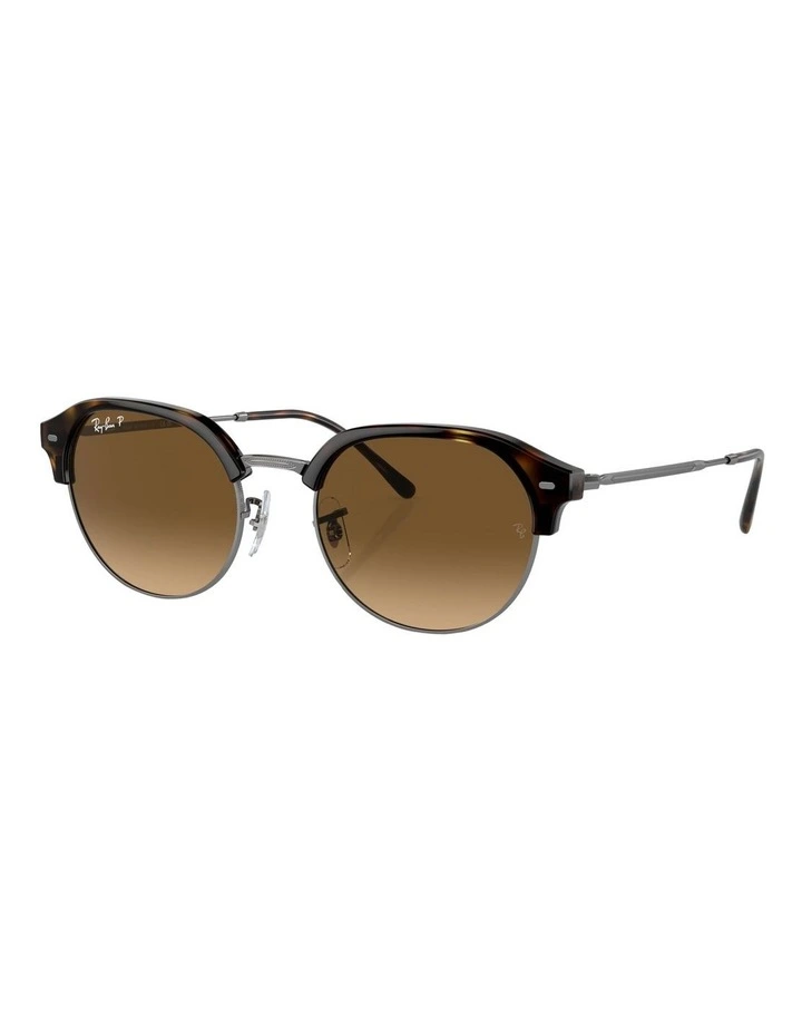 Polarized RB4429 Sunglasses in Brown
