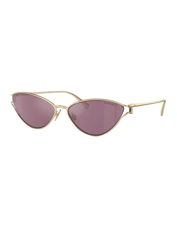 TF3095 Sunglasses in Gold