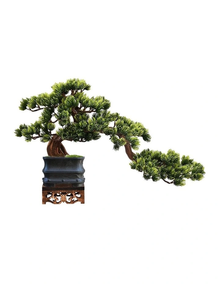 Faux Bonsai Art in Bamboo Style Yixing Pot & Exclusive Bonsai Fragrance 50ml