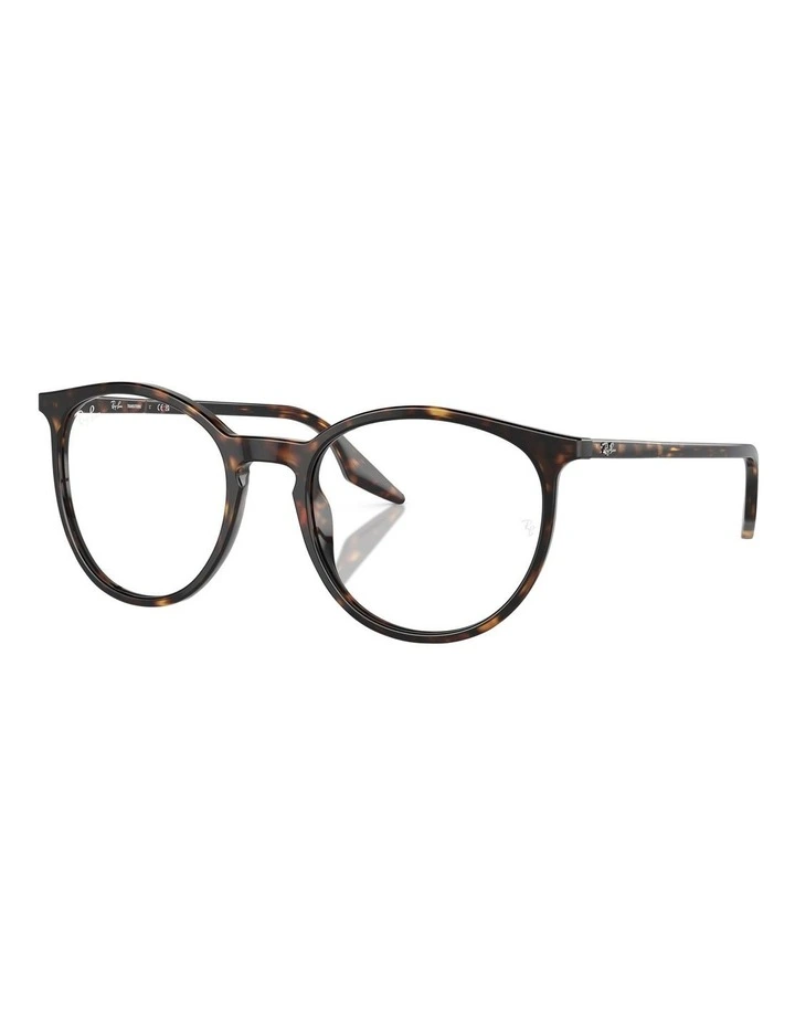 Transitions RB2204 Sunglasses in Tortoise