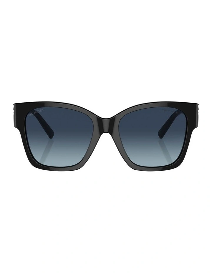 Polarised TF4216 Sunglasses in Black