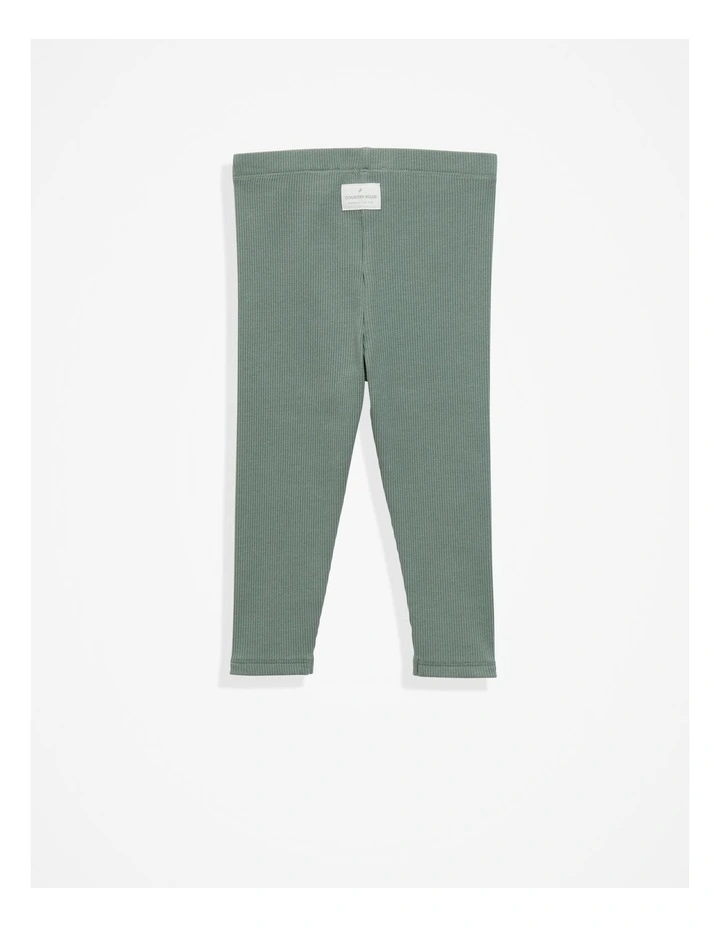 Cotton Solid Rib Legging in Sage