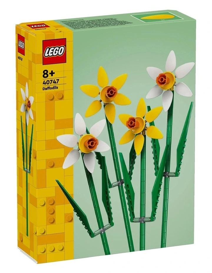 Iconic Daffodils 40747