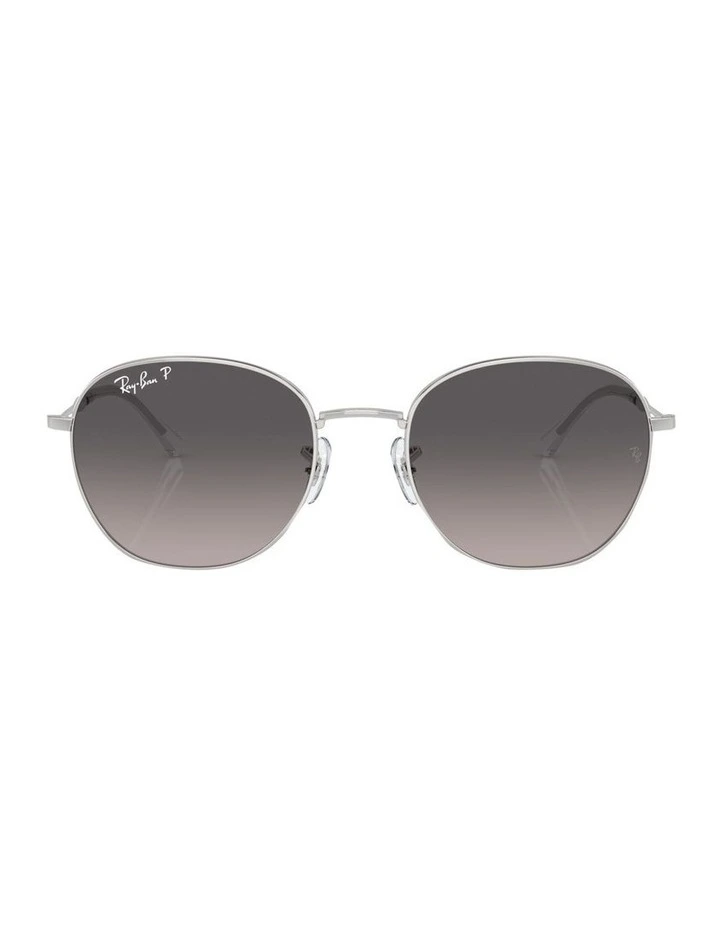 Polarised RB3809 Sunglasses in Silver