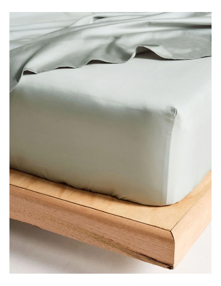 Augusta 500TC Fitted Sheets in Green Gum