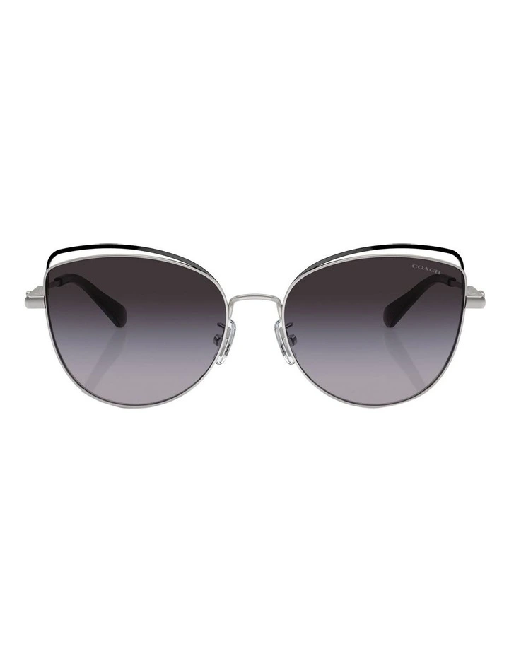 CR621 Sunglasses in Black