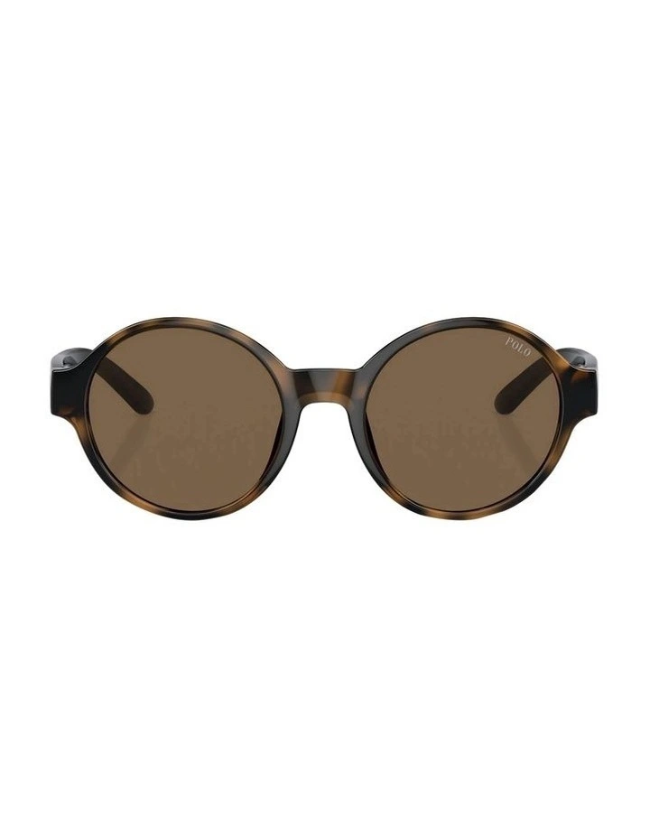 PP9508U Sunglasses in Brown