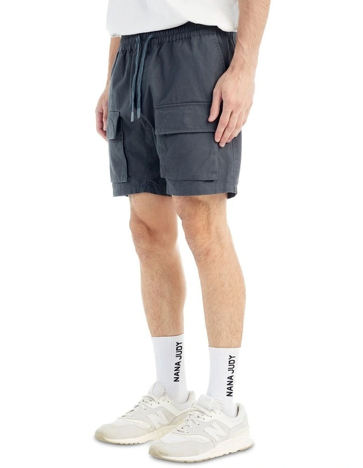 Coast Short in Slate