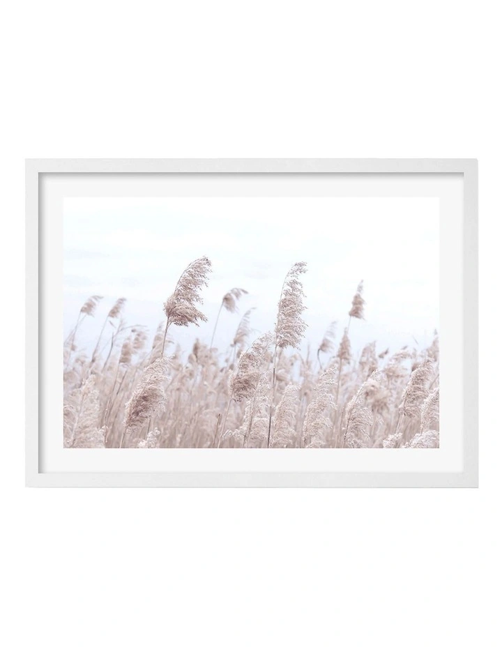 Australian Made Pampas Grass 1 Art Print A2 in White Frame