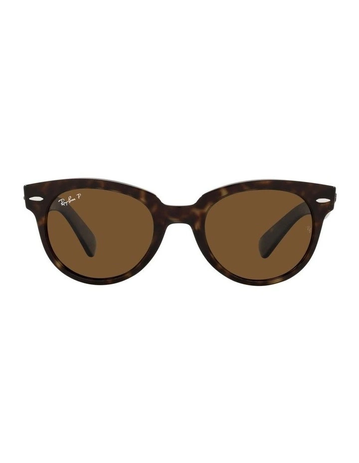 Orion Brown RB2199 Polarised Sunglasses