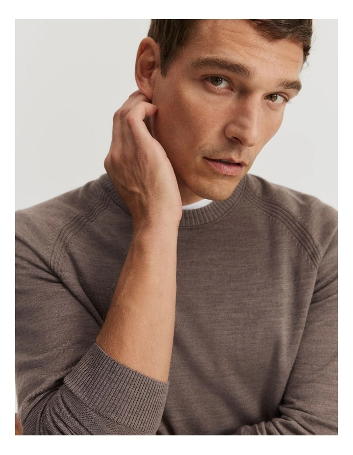 Verified Australian Merino Wool Crew Knit Top in Fawn
