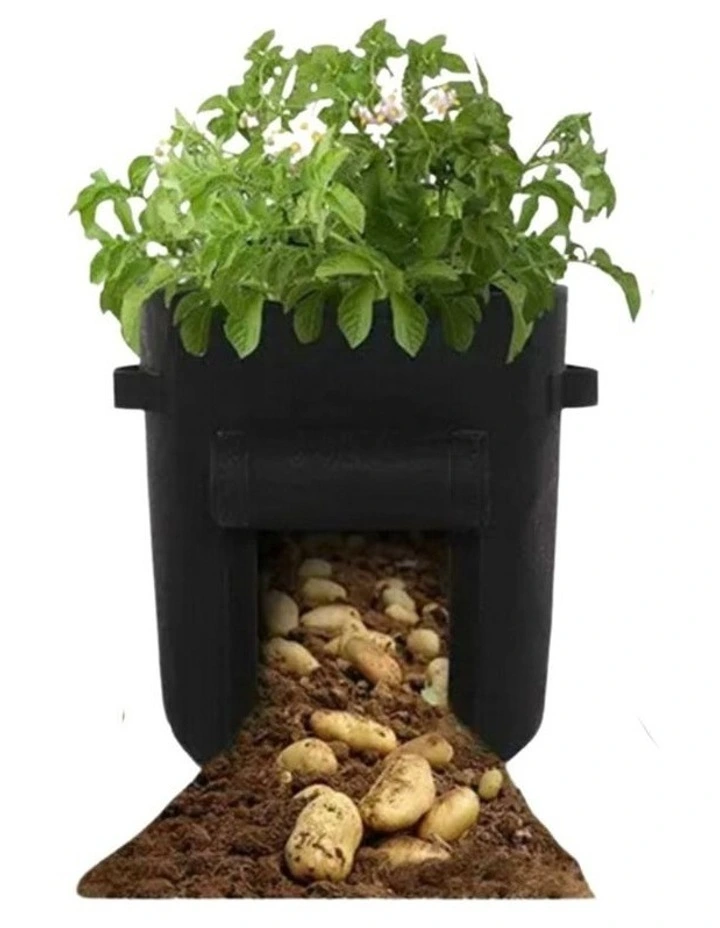 Plant Grow Bags with Window Flap 5 Packs 7 GalloninBlack