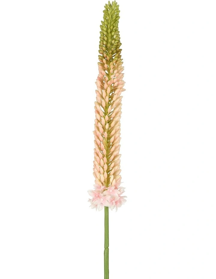 Fox Tail Stem 84cm in Pink