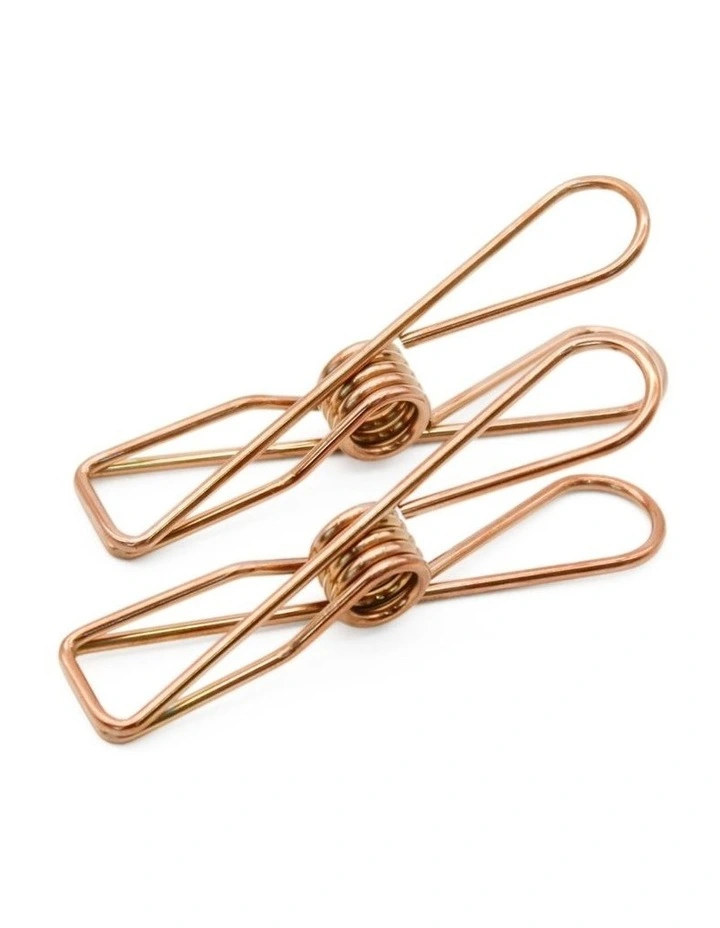 Large Stainless Steel Pegs 40 Pack in Rose Gold