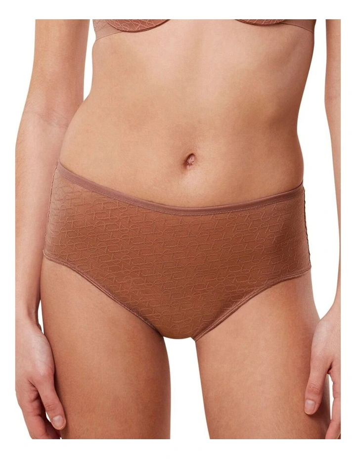Signature Sheer Maxi Brief in Toasted Almond