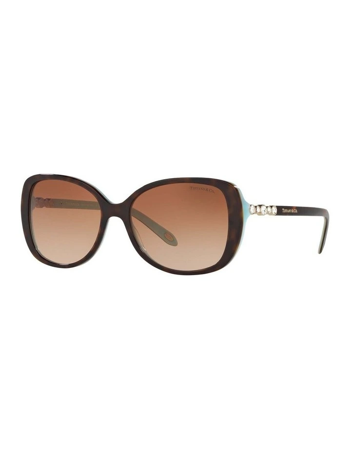 TF4121B Tortoise Sunglasses
