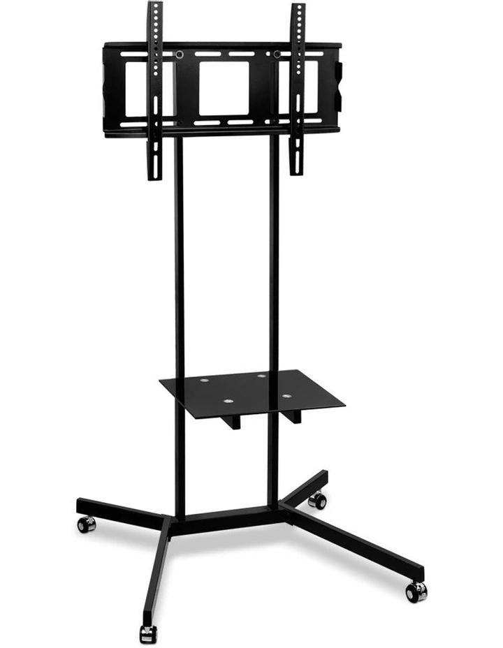 TV Mount on Stand