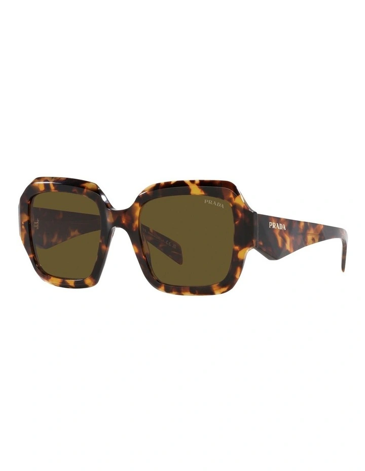 PR 28ZSF Sunglasses in Green