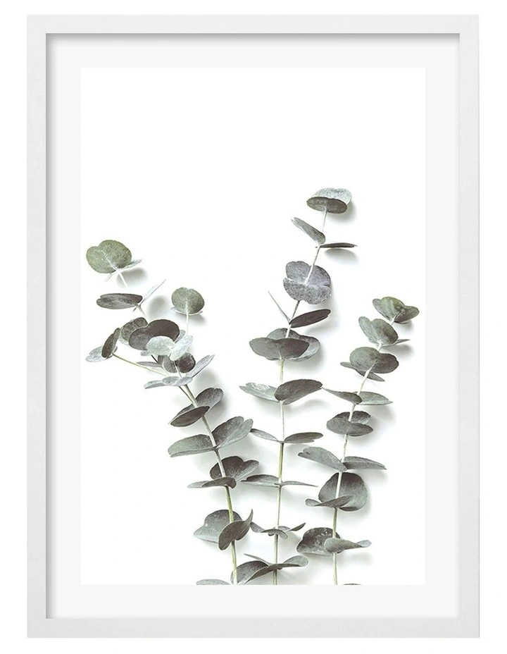 Australian Made Eucalyptus Foliage Art Print A2 in White Frame