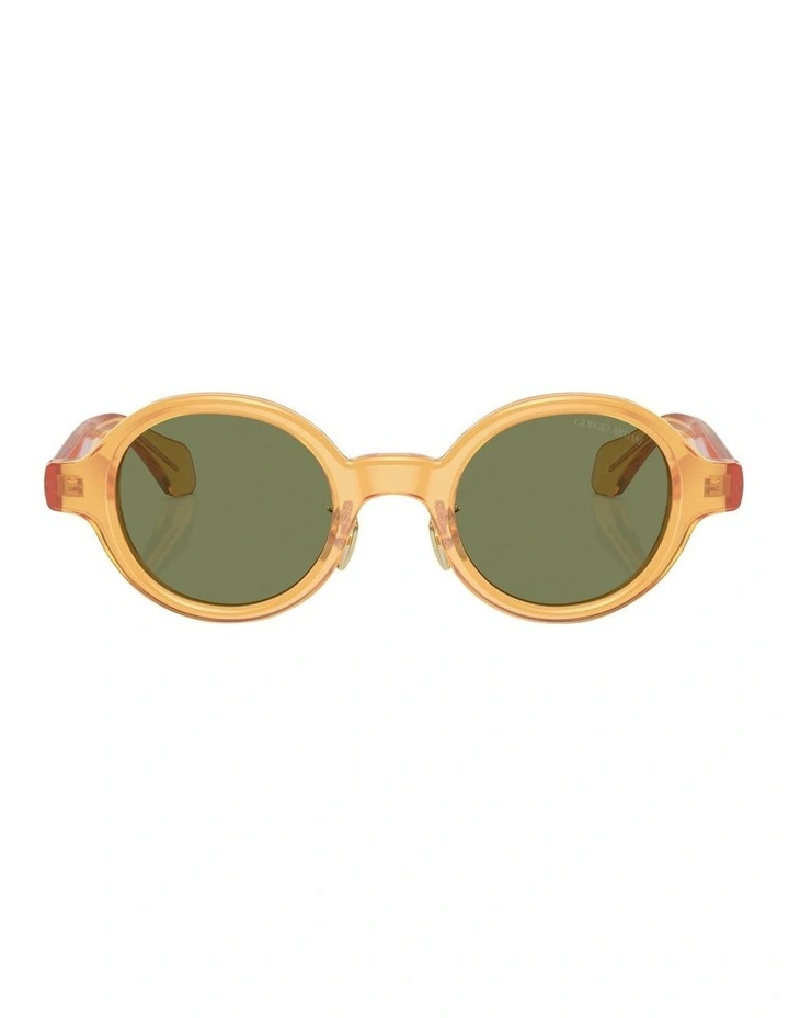 AR8205 Sunglasses in Gold