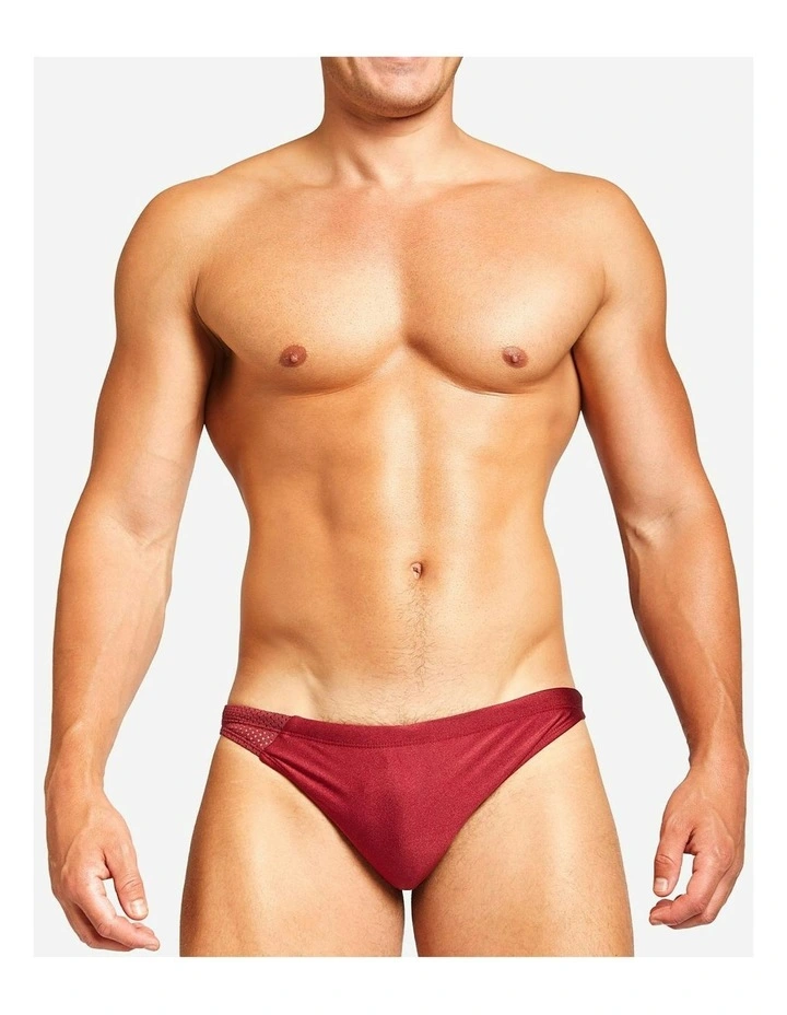 Bass Mesh Swim Brief in Burgundy