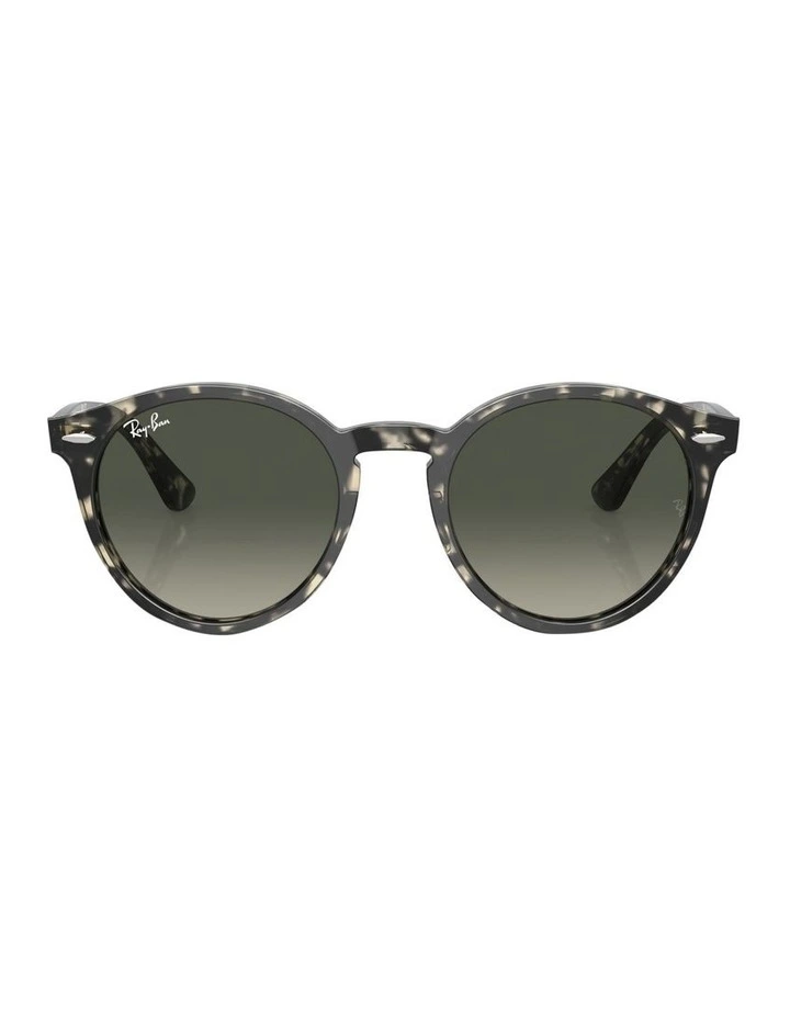 Larry Sunglasses in Grey