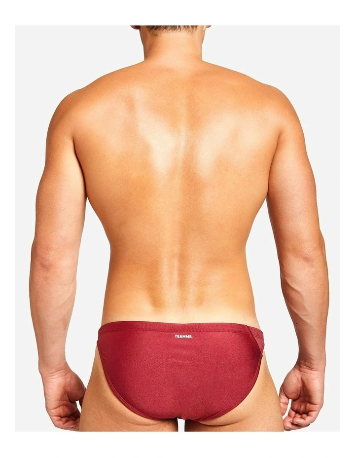Bass Mesh Swim Brief in Burgundy