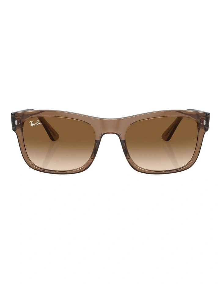 RB4428 Sunglasses in Beige